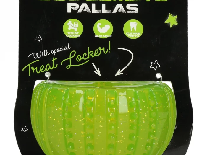 Dog Comets Pallas