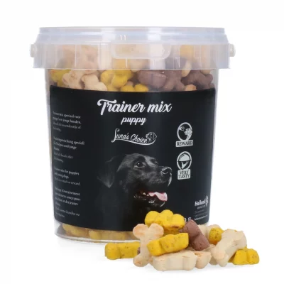 Trainer mix puppy Luna's Choice