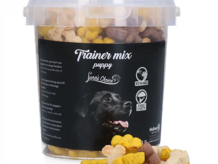 Trainer mix puppy Luna’s Choice