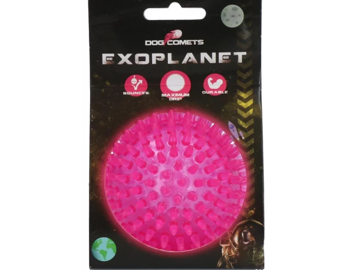 Dog Comets Exoplanet