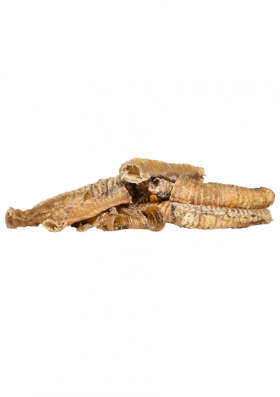 Trachées d'Agneau