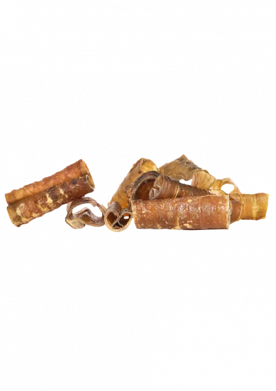 Trachées de cheval