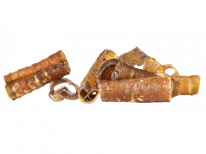 Trachées de cheval