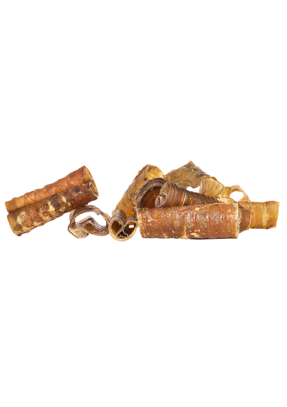 Trachées de cheval