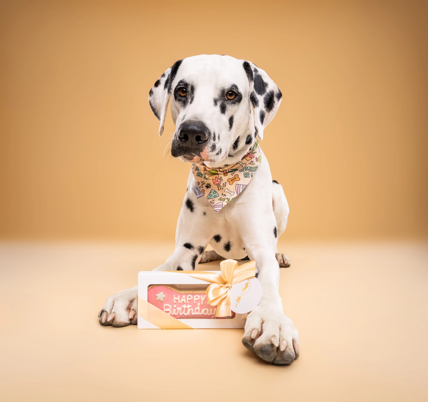 Biscuit Pour Chien “Happy Birthday”
