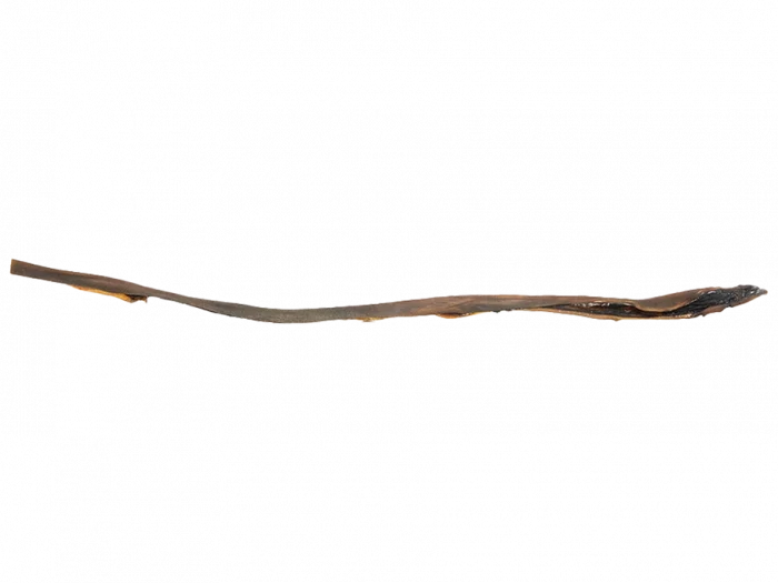 Longue peau de chameau