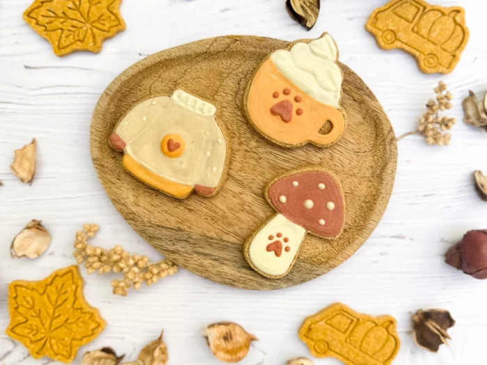 Biscuits pour chien cosy d’automne