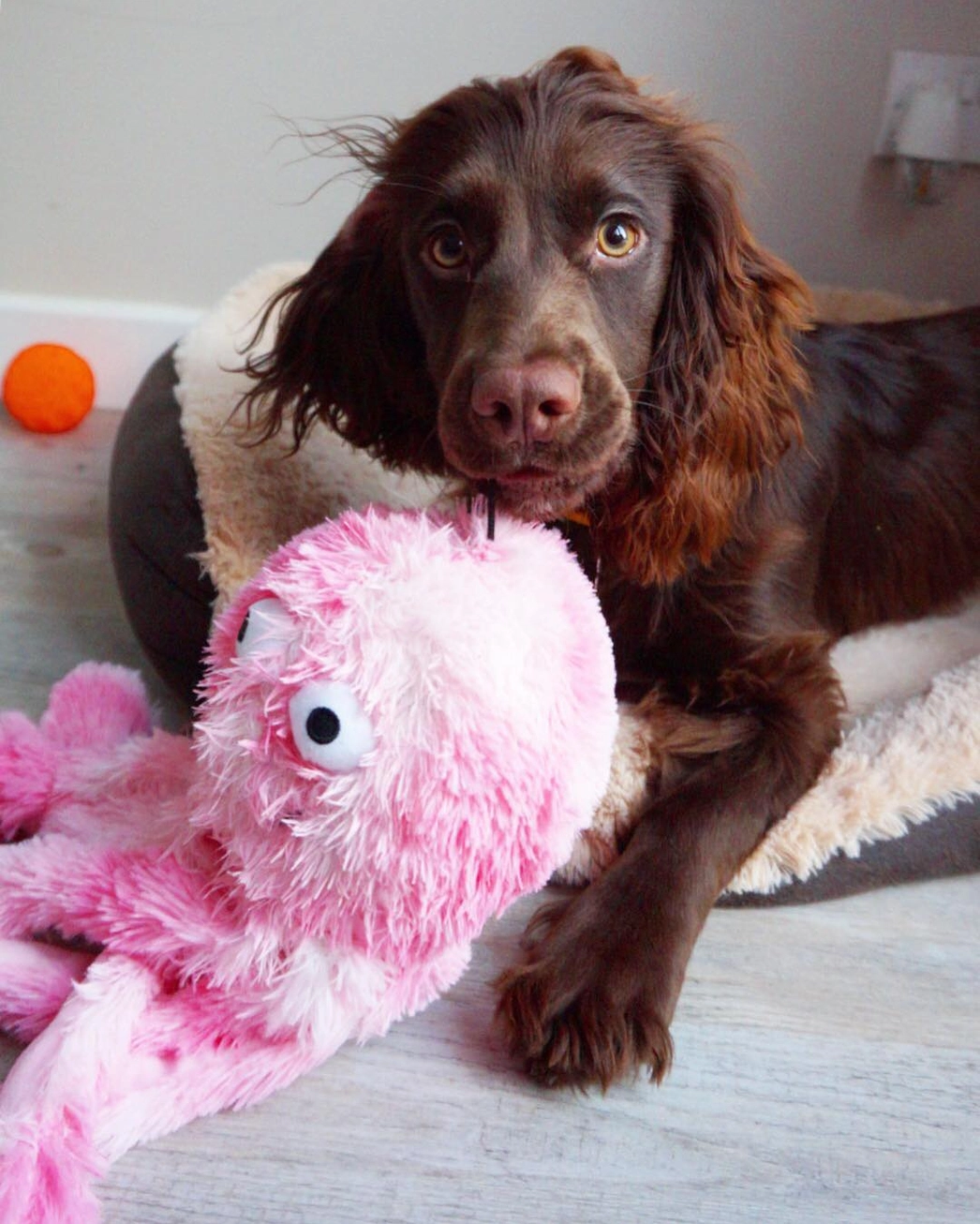 Peluche Poulpe Gor Reef – Mommy – Image 2