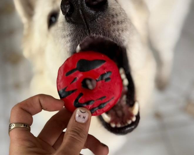 Beignets vampire cooka’s cookies