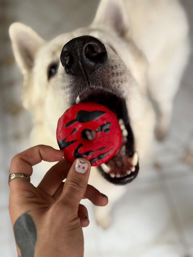 Beignets vampire cooka's cookies – Image 2