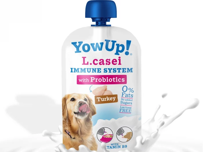 Yaourt – L Casei Dinde – YowUp