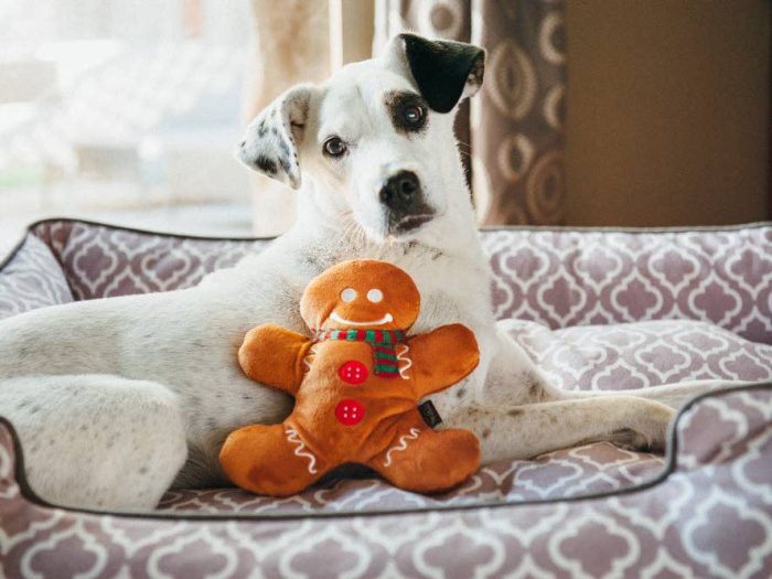 Peluche Pain d’épice P.L.A.Y