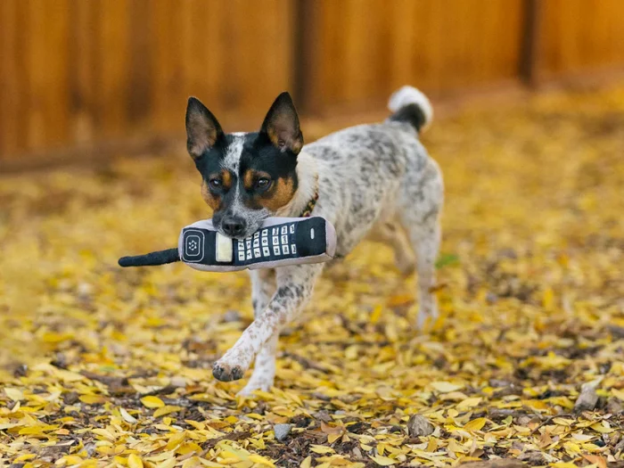 Peluche téléphone 90 classique