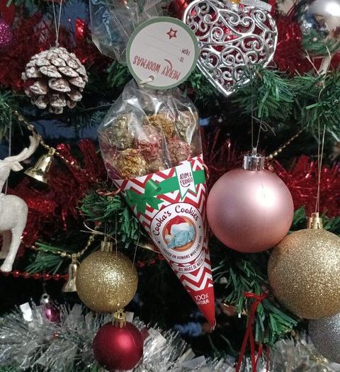 Friandises au Poulet et Thon de Cooka’s Cookies