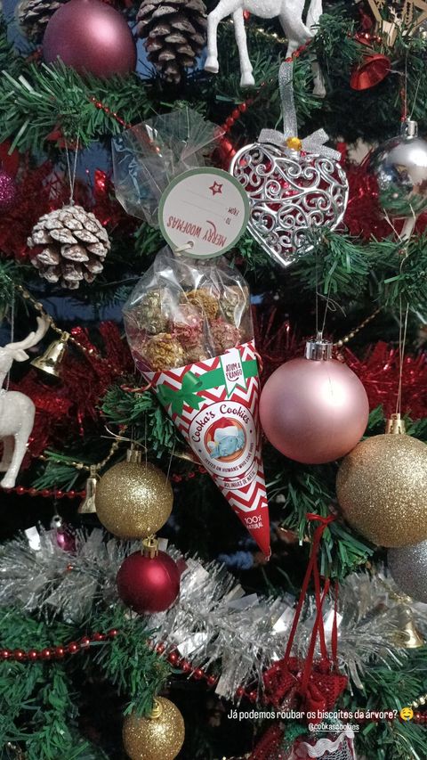 Friandises au Poulet et Thon de Cooka's Cookies Friandises au Poulet et Thon de Cooka's Cookies