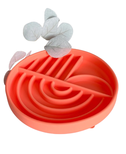 Gamelle arc-en-ciel Doggotique