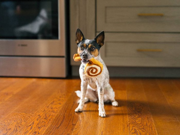 Pup Cup Café Pet play