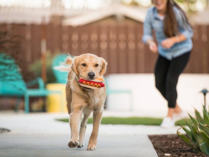 Peluche Hot Dog Pet Play