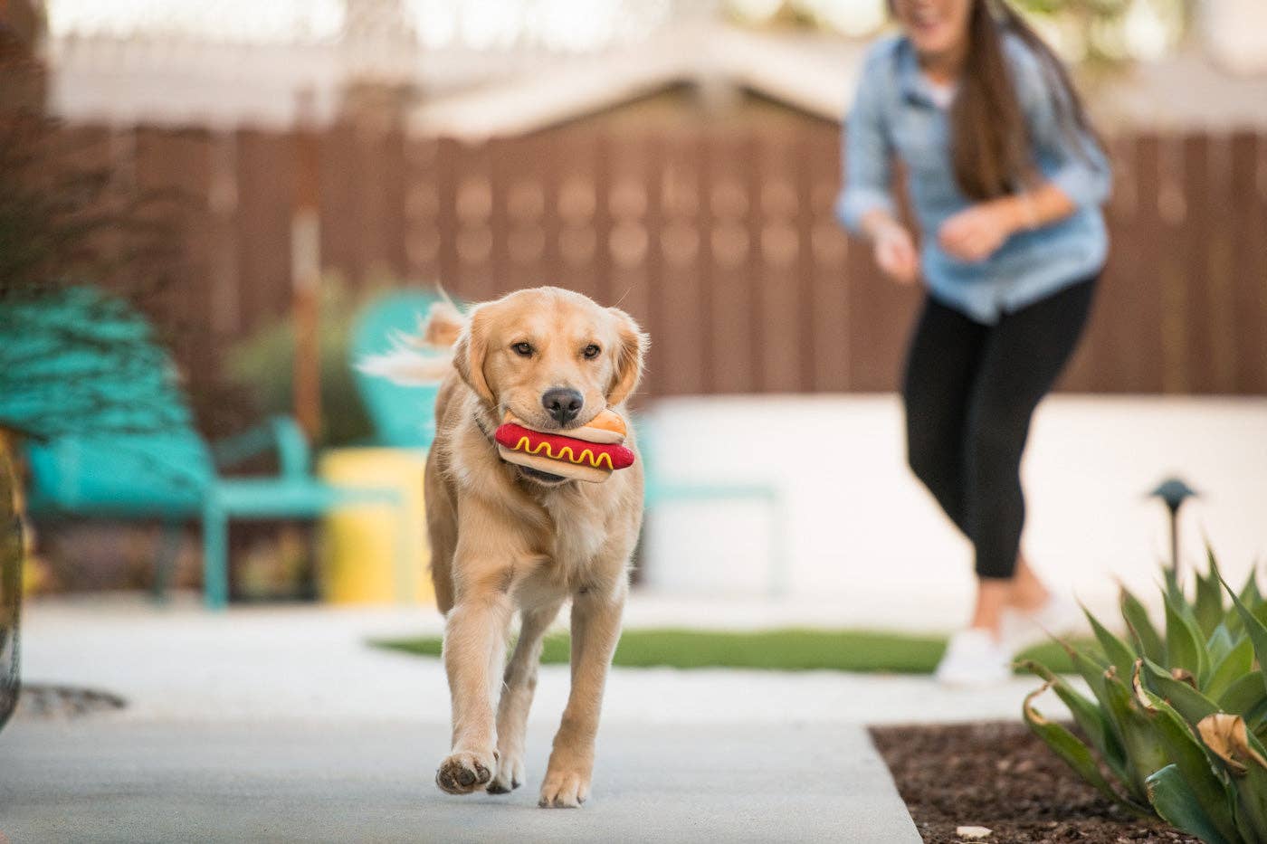 Peluche Hot Dog Pet Play – Image 2