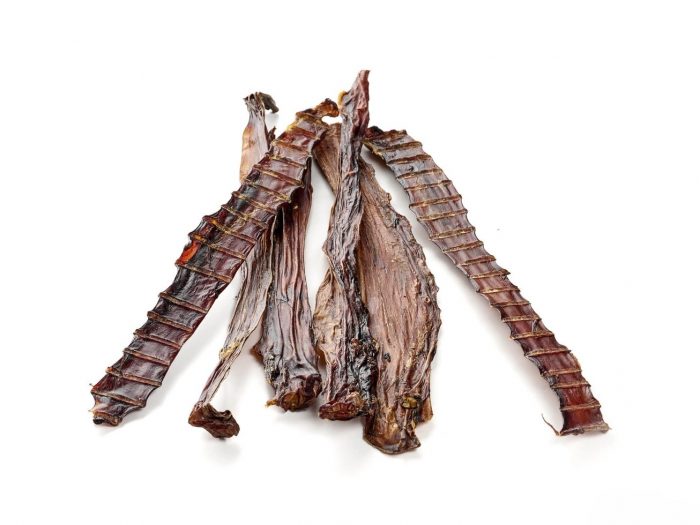 Œsophage d&rsquo;autruche pour chien