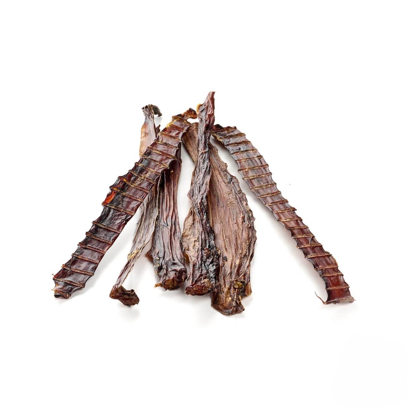 Œsophage d'autruche pour chien