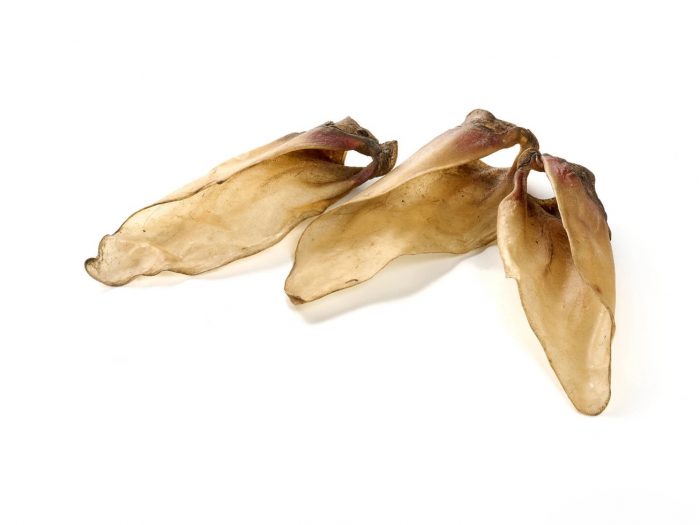 Oreilles de veau Sans Poils