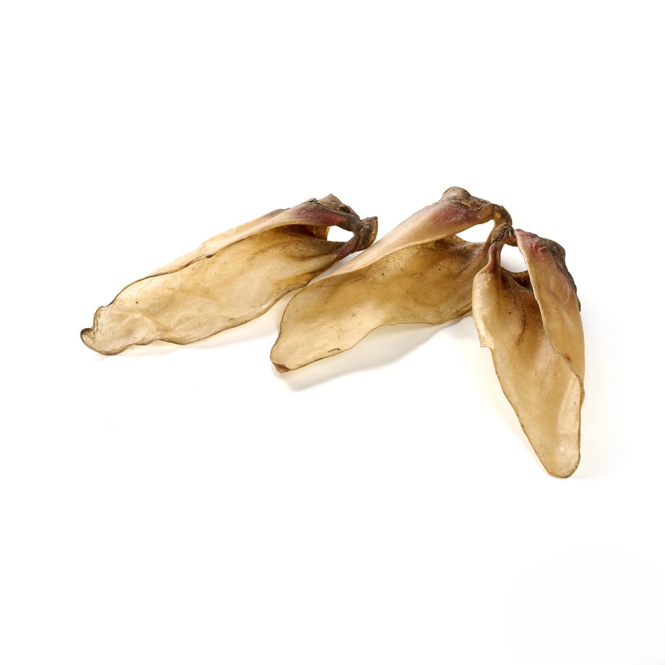 Oreilles de veau Sans Poils