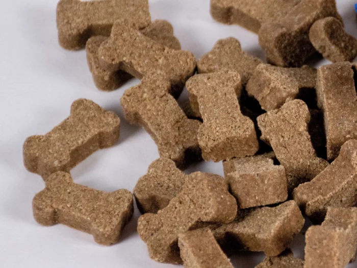 Friandises au poulet Buddylicious