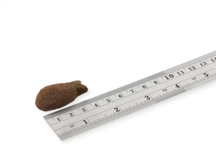 Support+ Santé des articulations au saumon