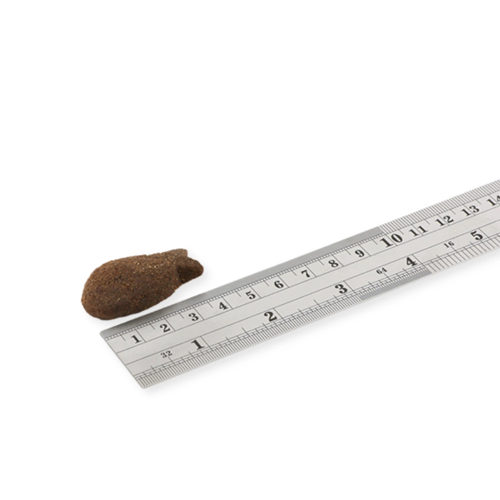 Support+ Santé des articulations au saumon – Image 2