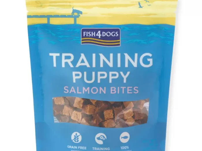 Training Puppy au Saumon