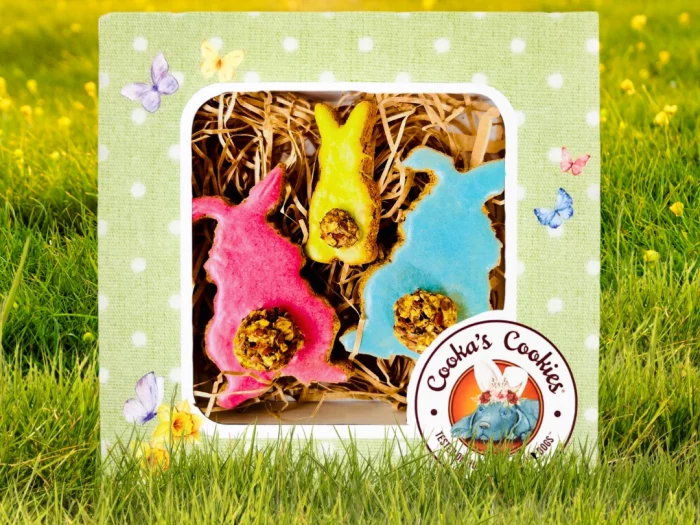 Biscuits Lapins de Pâques