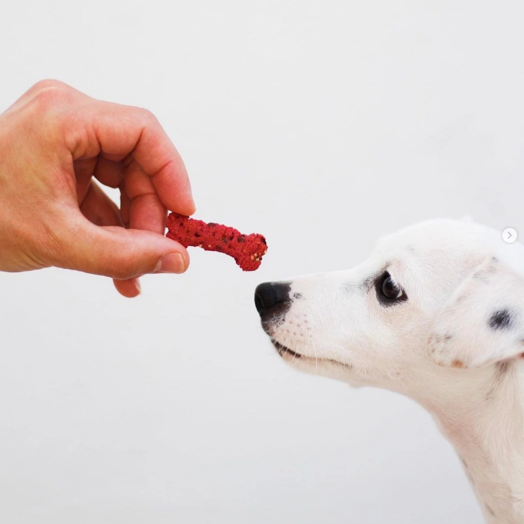 Lisboa Beet – Friandises naturelles – Image 3