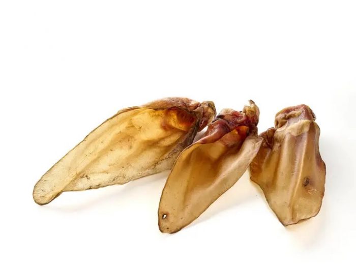 Oreilles de Boeuf sans poils