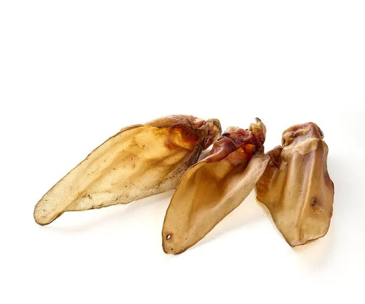 Oreilles de Boeuf sans poils